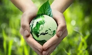 半岛网页版登录入口零碳（近零碳）发展战略和实施方案